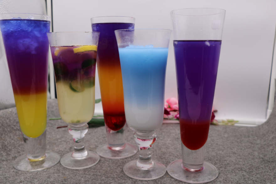 厦门泰国蝶豆花培训